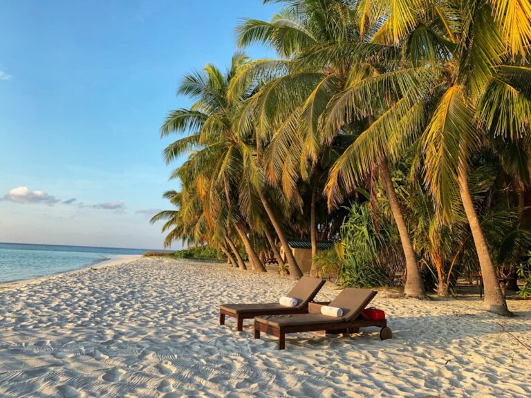 Essential Tips for Traveling in Style and Comfort Abroad